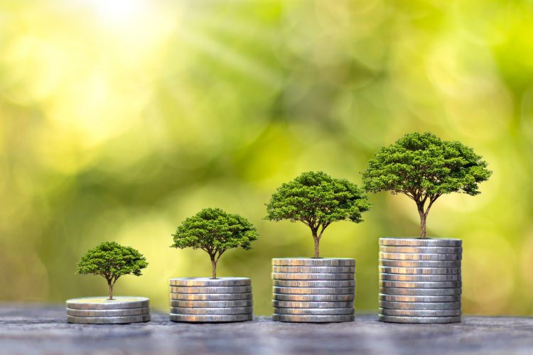 Financial Forecasting