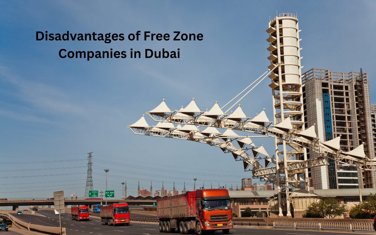 Disadvantages of Free Zone Companies in Dubai