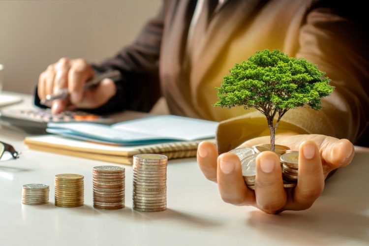 money and tree focus