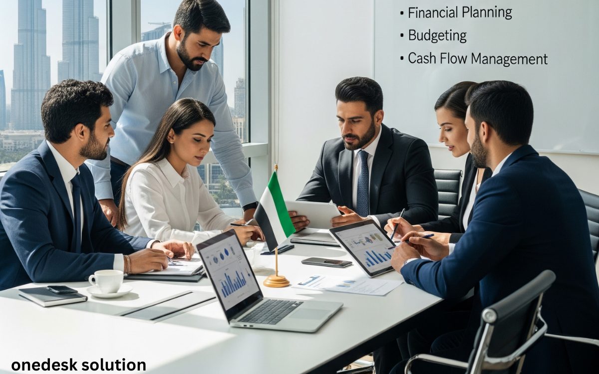 CFO Services for small business